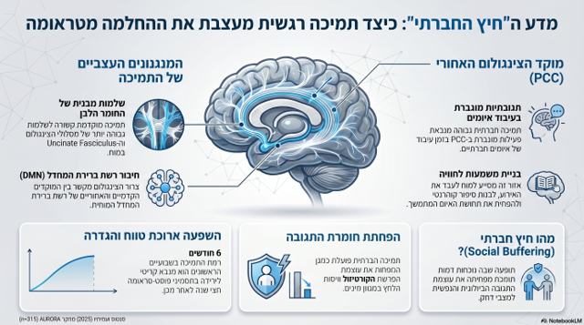 אינפוגרפיקה על המאמר