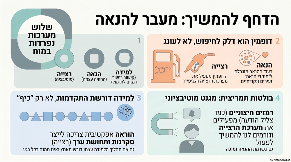אינפוגרפיקה המסכמת את הטקסט: הדחף להמשיך מעבר להנאה, שלוש מערכות נפרדות במוח: חיפוש, הנאה, למידה
