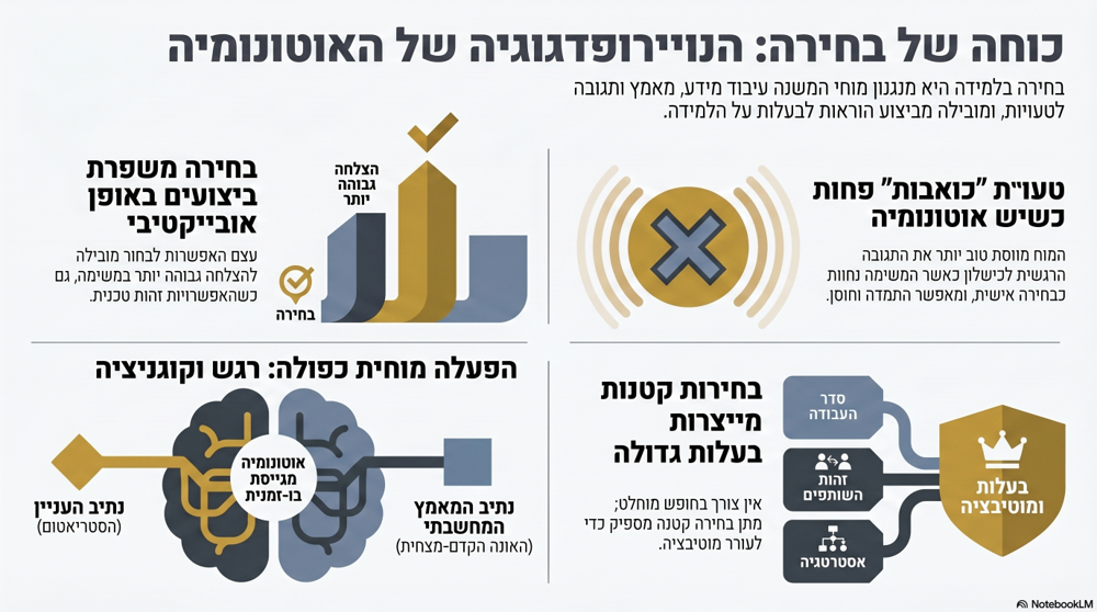 אינפוגרפיקה המסכמת את הכתבה כוחה של בחירה הנוירופדגוגיה של האוטונומיה