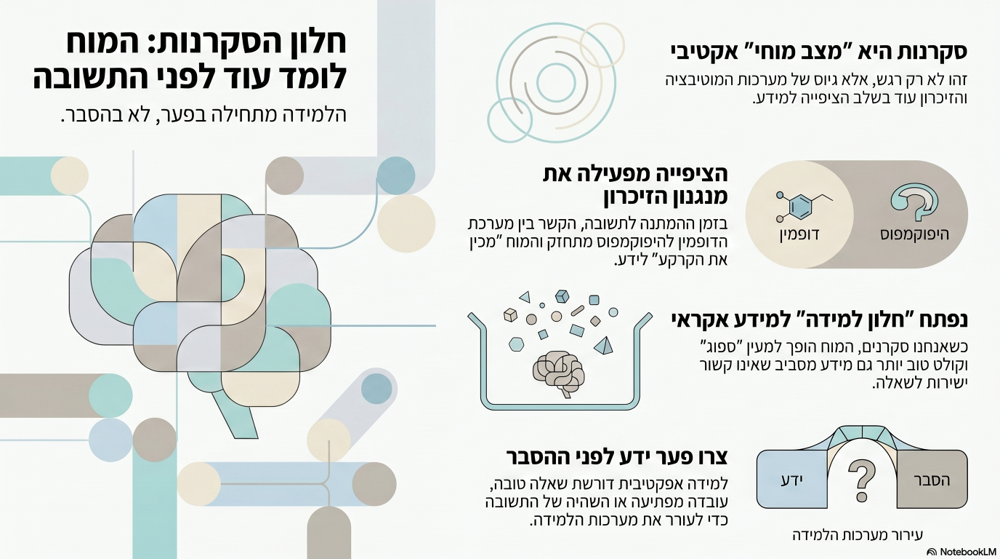 אינפוגרפיקה המסכמת את הכתבה: חלון הסקרנות: המוח לומד עוד לפני השתובה